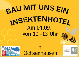 20250904_Insektenhotel.jpg